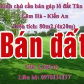 Chính chủ cần bán gáp lô đất Tân Hà, Lãm Hà, Kiến An ( ngay cầu Niệm).