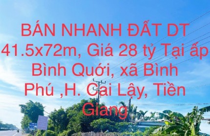 BÁN NHANH ĐẤT DT 41.5x72m, Giá 28 tỷ Tại xã Bình Phú ,huyện Cai Lậy , Tiền Giang