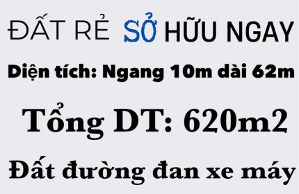 ĐẤT CHÍNH CHỦ - GIÁ TỐT - Vị Trí Đẹp Tại xã Tân Thành, Gò Công Đông, Tiền Giang