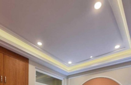 Bán nhà khu cư xá Nguyên Hồng, 80m2, 4 Tấm dân trí cao Giá 12.5 tỷ