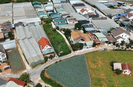 Cho thuê đất Võ Trường Toản Phường 8 Đà Lạt 1200m2