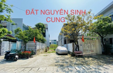 Bán Đất Kiệt ô Tô Vi Vu - Đường Nguyễn Sinh Cung- Tp Huế