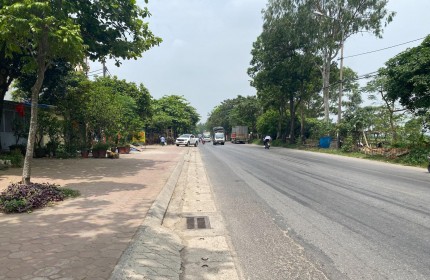 Bán 58m2 đất mặt đường QL3, full thổ cư , vị trí đắc địa nhất Đông Anh, cam kết không quy hoạch,