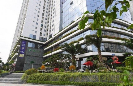 Cho thuê văn phòng DT 270m2 tại tòa Ecolife Capitol Tố Hữu với không gian xanh và tiện ích đầy đủ