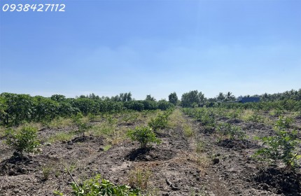 Hàng ngộp giảm 300tr, lô đất vườn 1028m2 tại Thạnh Lợi, Bến Lức, Long An chỉ còn 870tr.