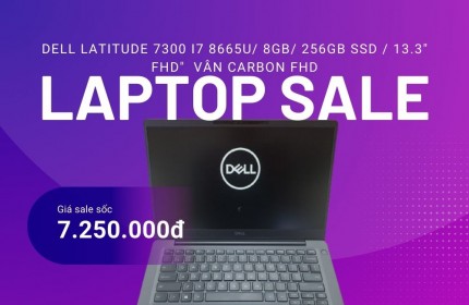 Dell Latitude 7300 i7 8665U/ 8GB/ 256GB SSD / 13.3