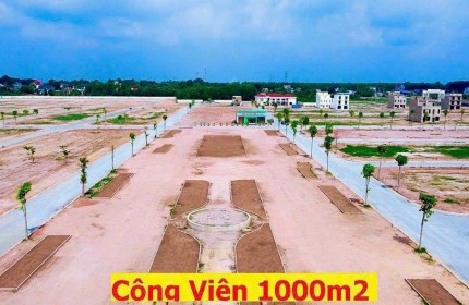 BÁN ĐẤT NGAY ĐỐI ĐIỆN KHU CÔNG NGHIỆP TÂN BÌNH GIÁ RẺ, BÌNH DƯƠNG