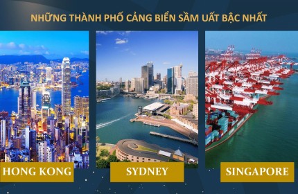 Mở Bán Căn Hộ Chung Cư Cao Cấp Tại Golden Point - Nơi An Cư Lý Tưởng