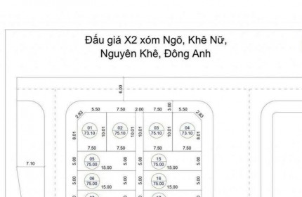 BÁN 2 LÔ ĐẤT ĐẤU GIÁ X2 XÓM NGÕ - NGUYÊN KHÊ - ĐÔNG ANH