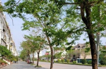 Chính chủ cho thuê căn Park 3, 75m2, 2 ngủ, Quận Hai Bà Trưng, Hà Nội