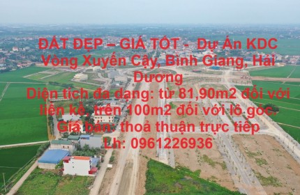 ĐẤT ĐẸP – GIÁ TỐT -  Dự Án KDC Vòng Xuyến Cậy, Bình Giang, Hải Dương