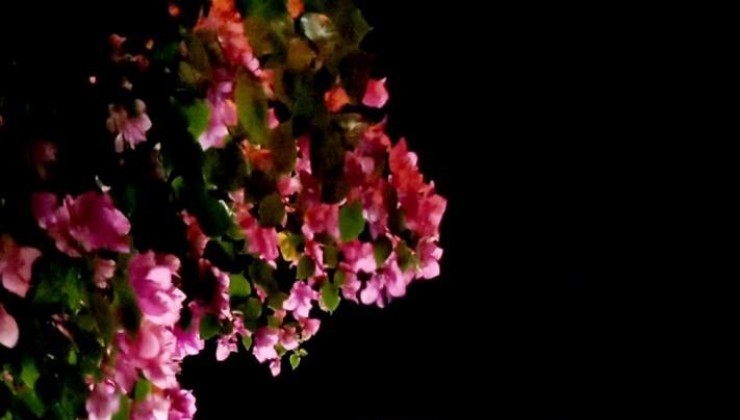 Nhà SIÊU ĐẸP Lô góc HXH 6M 85m2 4 Tầng Kinh doanh SPA Lê Văn Sỹ nhỉn 20 Tỷ