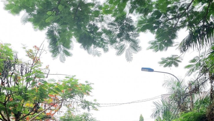 - CHỈ NHỈNH HƠN 5TỶ XX ( x trung học) ĐƯỜNG NHỰA 6M XE HƠI CHẠY THÔNG - KHU PHÂN LÔ ĐỒNG BỘ - HẠ GIÁ SÁT ĐÁY 80M2