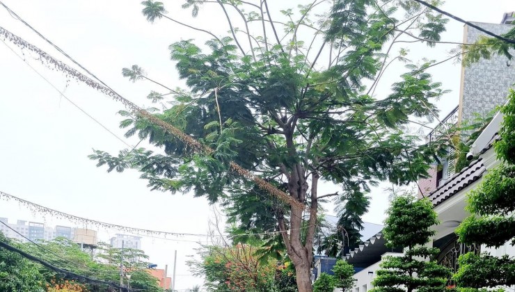 - CHỈ NHỈNH HƠN 5TỶ XX ( x trung học) ĐƯỜNG NHỰA 6M XE HƠI CHẠY THÔNG - KHU PHÂN LÔ ĐỒNG BỘ - HẠ GIÁ SÁT ĐÁY 80M2