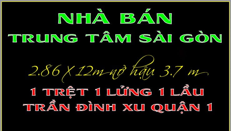 Nhà phố rẻ 1 trệt 1 lửng 1 lầu Trần Đình Xu Quận 1 TP.HCM