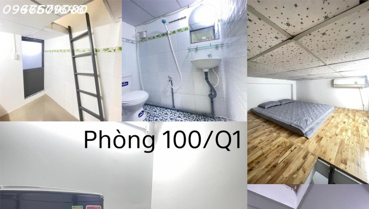 CHO THUÊ CHDV ĐƯỜNG TRẦN QUÝ CÁP - QUẬN BÌNH THẠNH - TP.HCM