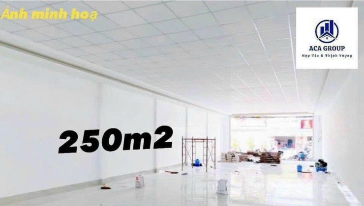 Cho Thuê Mặt Bằng Bến Nghé Siêu Đẹp, 250m2, ngang 6m5