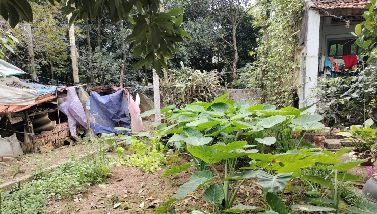 Hàng đẹp Biên Giang, 47,2m chỉ nhỉnh tỉ