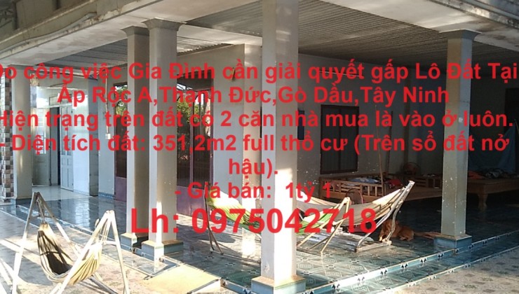 Do công việc Gia Đình cần giải quyết gấp Lô Đất Tại Ấp Rộc A,Thạnh Đức,Gò Dầu,Tây Ninh