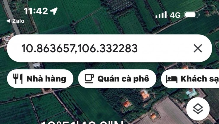 Cần bán lô đất Thổ cư 1001m2 Ấp An Hòa, xã Bình Hòa Bắc, Đức Huệ, Long an