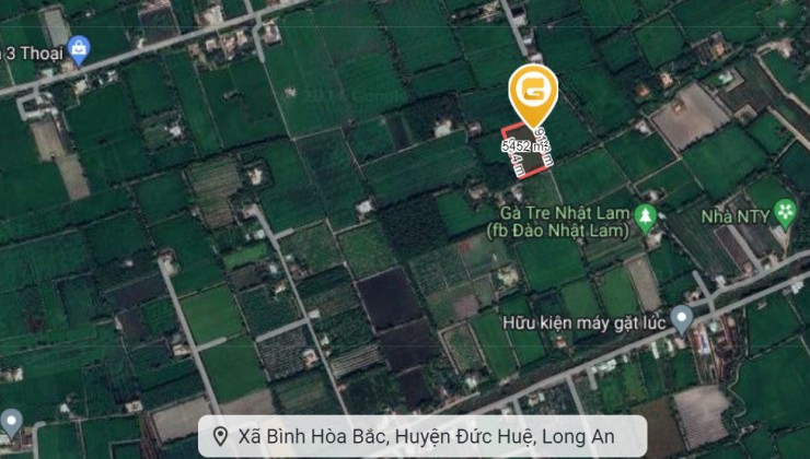 Cần bán lô đất Thổ cư 1001m2 Ấp An Hòa, xã Bình Hòa Bắc, Đức Huệ, Long an