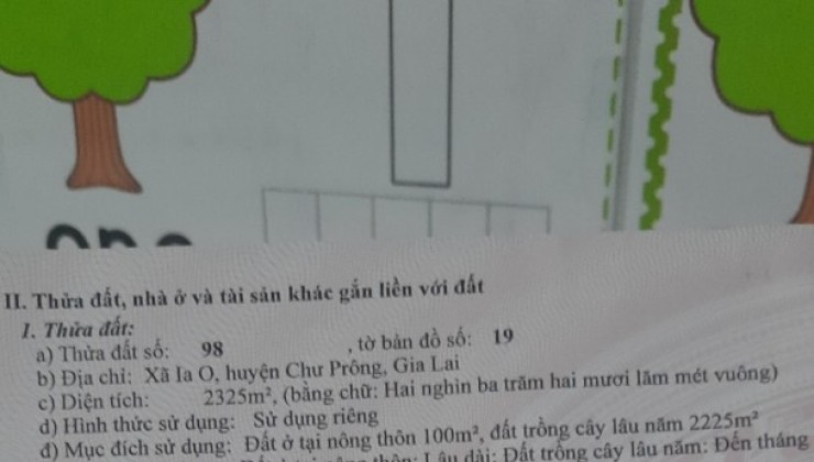 BÁN GẤP 2 Lô Chính Chủ - Mặt Tiền Xã Ia O, Huyện Chư Prông, Gia Lai