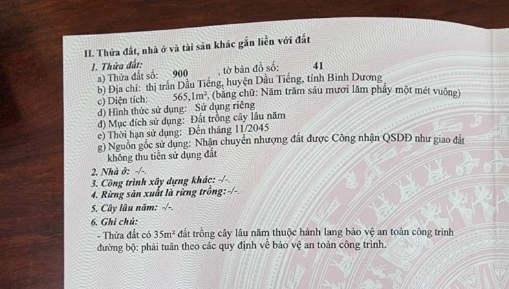 Bán 565.1m2 đất TCLN tai thị trấn Dầu Tiếng, sẵn sổ hồng, chỉ 700tr. Lh:0964552255