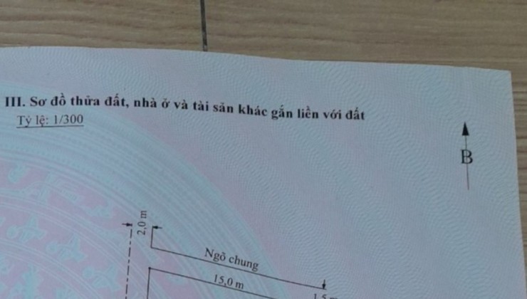 Lô góc 190m2 ngang 14m đường 4,5m tại Đồng Thái, An Dương