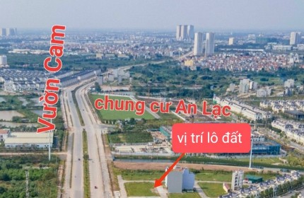 Cơ hội sở hữu 52m² ngay lưng đường vành đai 3.5 đầy tiềm năng