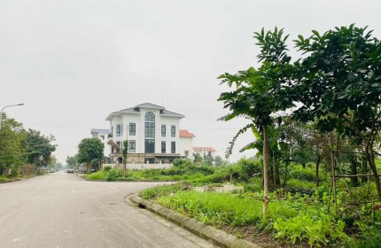 Bán biệt thự khu  Võ Cường, Bắc Ninh.