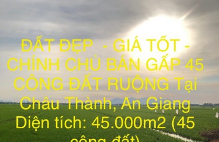 ĐẤT ĐẸP  - GIÁ TỐT - CHÍNH CHỦ BÁN GẤP 45 CÔNG ĐẤT RUỘNG Tại Châu Thành, An Giang