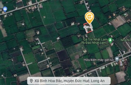 Cần bán lô đất Thổ cư 1001m2 Ấp An Hòa, xã Bình Hòa Bắc, Đức Huệ, Long an