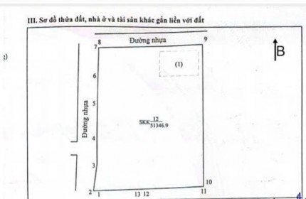 Bán đất và xưởng kcn Lộc An Bình Sơn Đồng Nai.DIện Tích : 51.346 m2 .Nhà Xưỡng : 4.200 m2 ( 2.100m đá hoàn công)