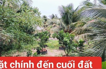 Chính Chủ CẦN BÁN NHANH LÔ ĐẤT Tại Đường Huyện 86C, Xã Tân Mỹ Chánh, Tp Mỹ Tho, Tiền Giang