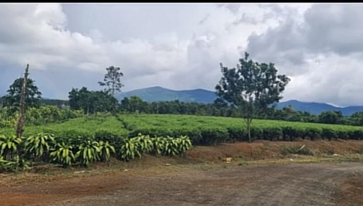 ĐẤT CHÍNH CHỦ - GIÁ TỐT - Vị Trí Đắc Địa Tại Thôn Lập Định 1, Xã Cam Hòa, Huyện Cam Lâm, Khánh Hòa