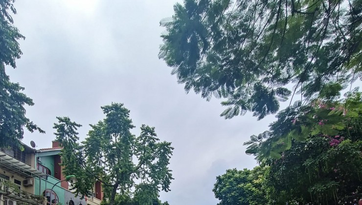 MBKD HÀNG ĂN, CÀ PHÊ, MÔ HÌNH SẠCH...PHỐ NGUYỄN TRÃI, VŨ TRỌNG PHỤNG, THANH XUÂN