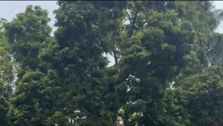 Bán nhanh mảnh đất lô góc, ô tô vào, xây nhà ở hoặc đầu tư ngay DT60m, Trung tâm thường Tín giá 42tr/m2