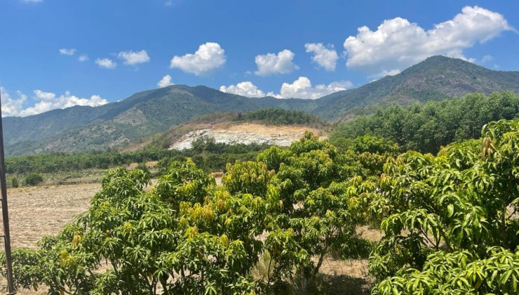 CHỦ CẦN TIỀN BÁN NHANH 2 LÔ ĐẤT QH FULL THỔ, GIÁ HẤP DẪN 1,4 TỶ XÃ SUỐI TIÊN, DIÊN KHÁNH