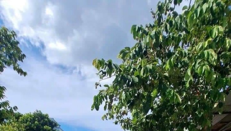 BÁN LÔ ĐẤT MẶT TIỀN NGUYỄN THỊ SÁU THỚI TAM THÔN HÓC MÔN 4.4X20M, GIÁ 3.69T