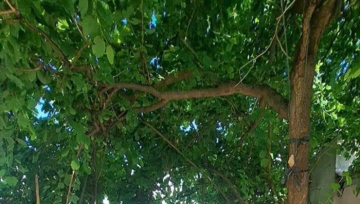 BÁN LÔ ĐẤT MẶT TIỀN NGUYỄN THỊ SÁU THỚI TAM THÔN HÓC MÔN 4.4X20M, GIÁ 3.69T