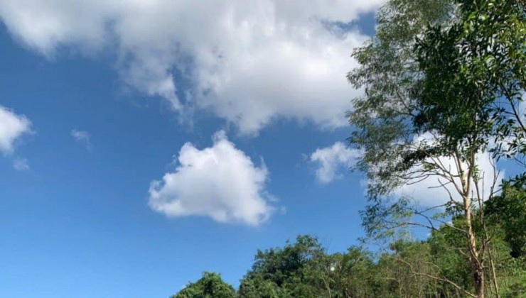 Đầu Tư Sinh Lời Với Lô Đất DT Rộng 1,4ha Tại Sông Hinh, Phú Yên - Giá chỉ 550 triệu!