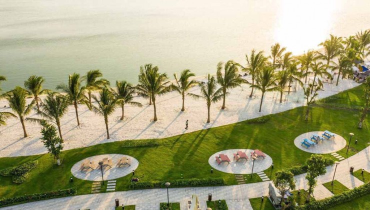 Bán Căn 3 NGỦ - TO ĐÙNG VIP NHẤT TÒA SHAPPIRE S203 VINHOMES OCEAN PARK 1