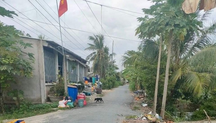 Chính Chủ Bán 3 Lô Đất Liền Kề Tại Đường Bê Tông , Xã Bình Phú, Gò Công Tây, Tiền Giang