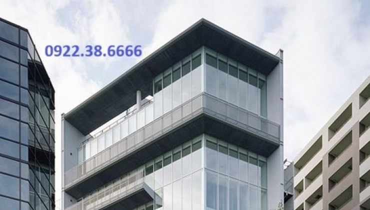 Building cỡ nhỏ – Tây Sơn – 556m2 – 8 tầng – 20m mặt tiền – 365 tỷ