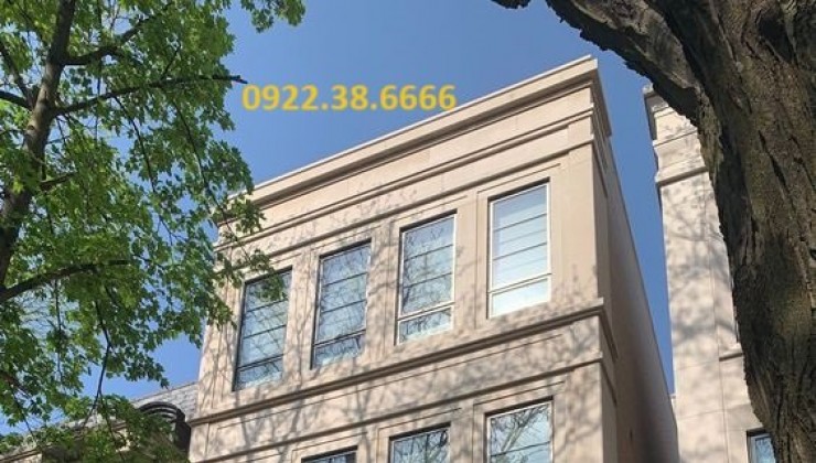 Building cỡ nhỏ– Quang Trung – 102m2 thực tế 200m2 – 7 tầng. Dòng tiền 2.4 tỷ/năm.