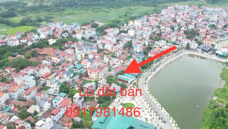 Bán đất Lại Đà Đông Hội 3.55 tỷ - siêu phẩm Đông Anh x7 miễn chê 45m2