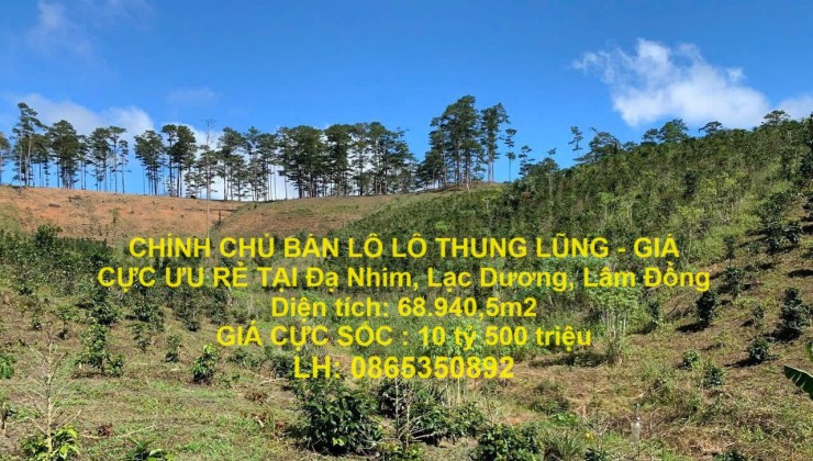 CHÍNH CHỦ BÁN LÔ LÔ THUNG LŨNG - GIÁ CỰC ƯU RẺ TẠI Đạ Nhim, Lạc Dương, Lâm Đồng