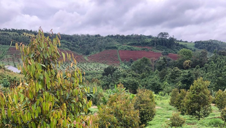 Bán Đất Thôn 8 , Xã Trường Xuân, Huyện Đak Song , Tỉnh Đak Nông