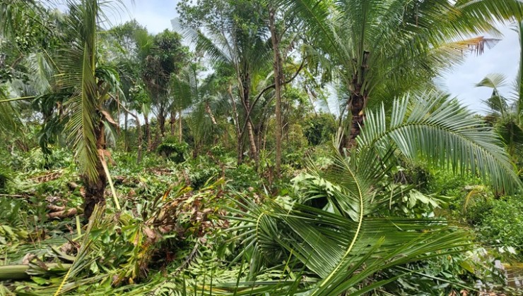 Đất Đẹp - Giá Tốt - Chính Chủ Cần Bán Lô Đất Vị Trí Đẹp Tại Xã Trường Long Phong Điền Cần Thơ