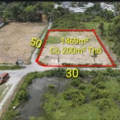 BÁN LÔ ĐẤT- LONG PHƯỚC - THỦ ĐỨC: DT :1469M2 ( 30 X 50 ) SỔ HỒNG RIÊNG - ÔTÔ TỚI ĐẤT